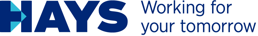 Hays Technology Solutions - Werkverträge in der IT