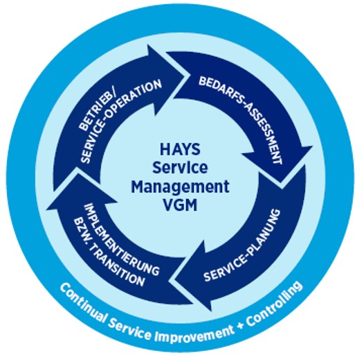 Hays Technology Solutions - Service Management