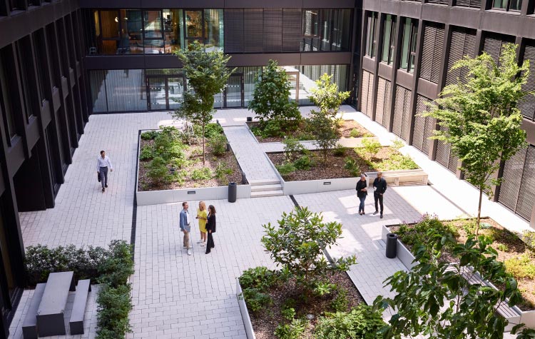 Mitarbeitende stehen im Hof und unterhalten sich