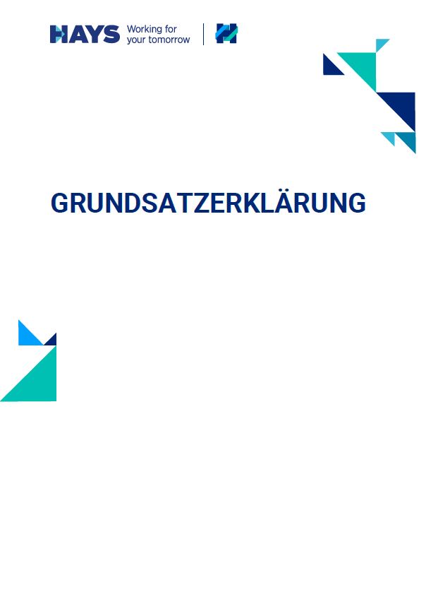 Hays Grundsatzerklärung Cover Hays Grundsatzerklärung Cover