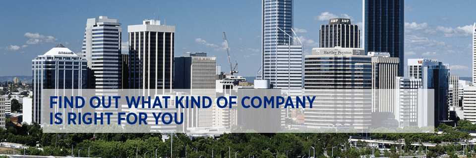 Find out what kind of company is right for you