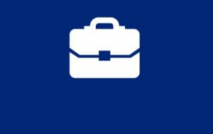 Icon - Suitcase