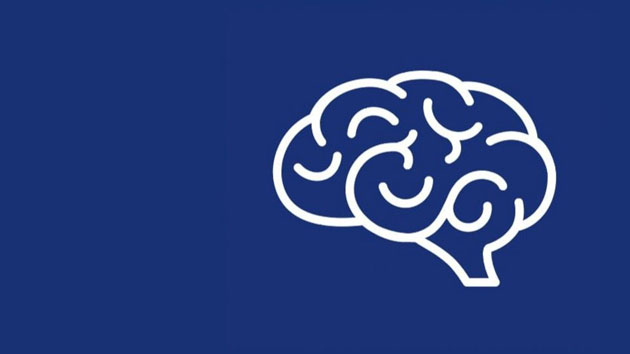 Icon eines Gehirns